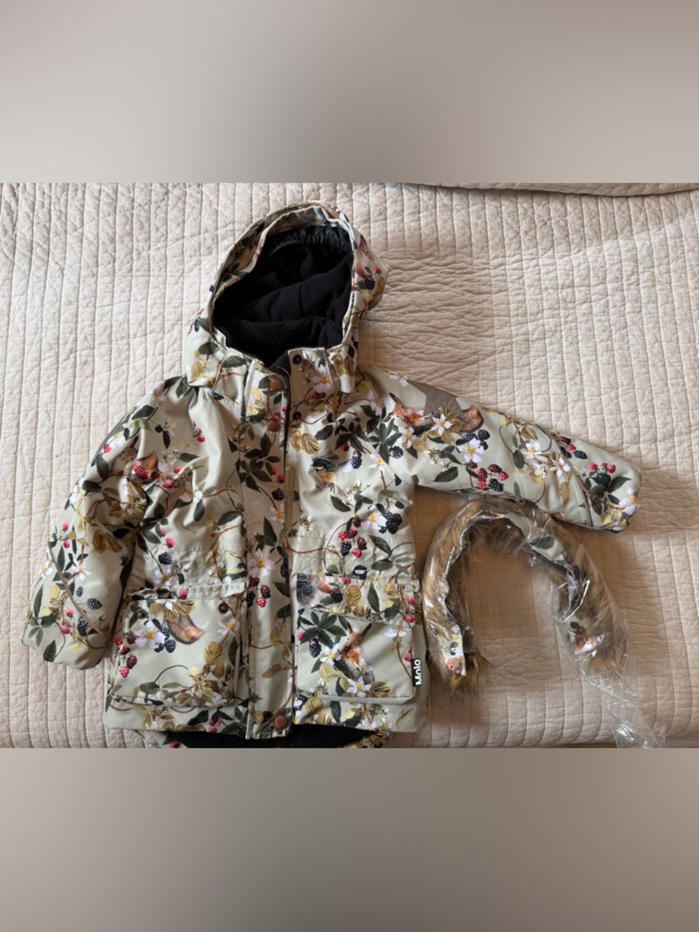Molo Sage Green Squirrel Print Ski Jacket with Berry Accents